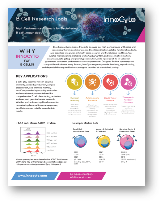 B-cell Research Tools