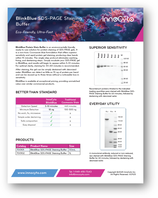 BlinkBlue SDS PAGE Staining Buffer Flyer