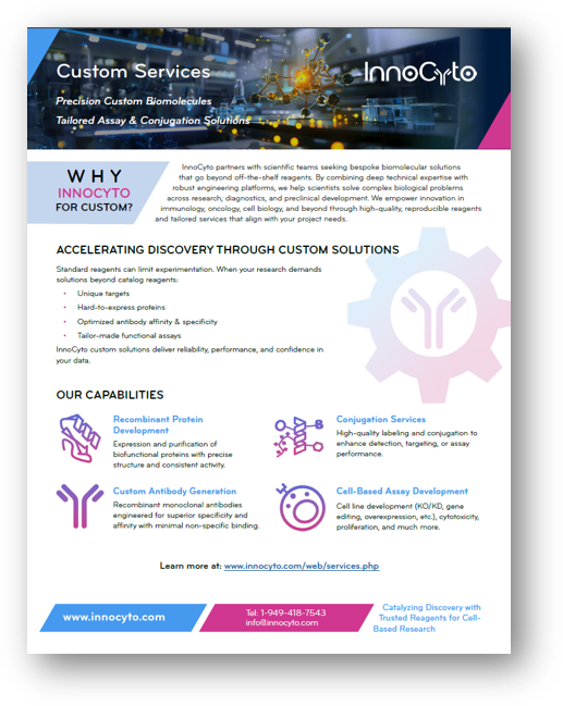 Custom Services Flyer